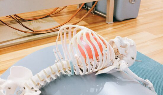 身体の仕組みに基づいたピラティス